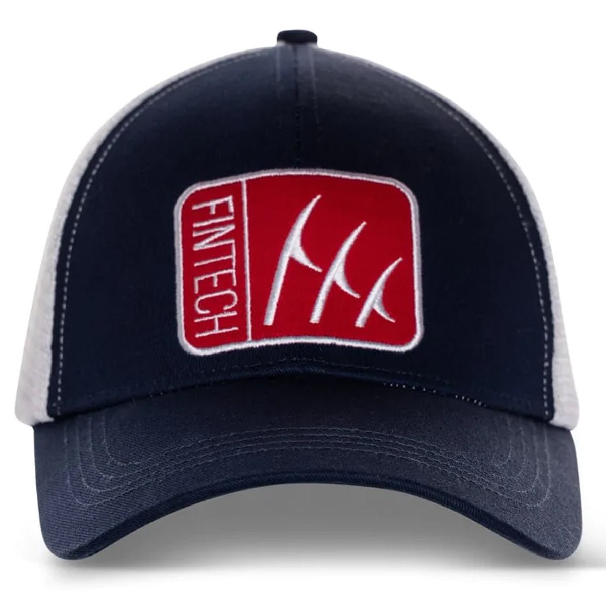 Fintech Box Logo 2C Snapback Hat