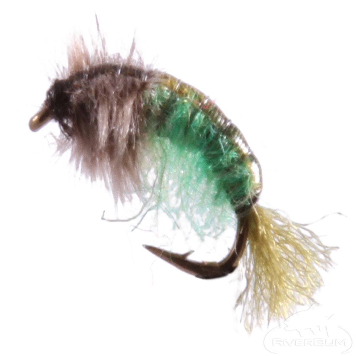 Net Builder, Olive