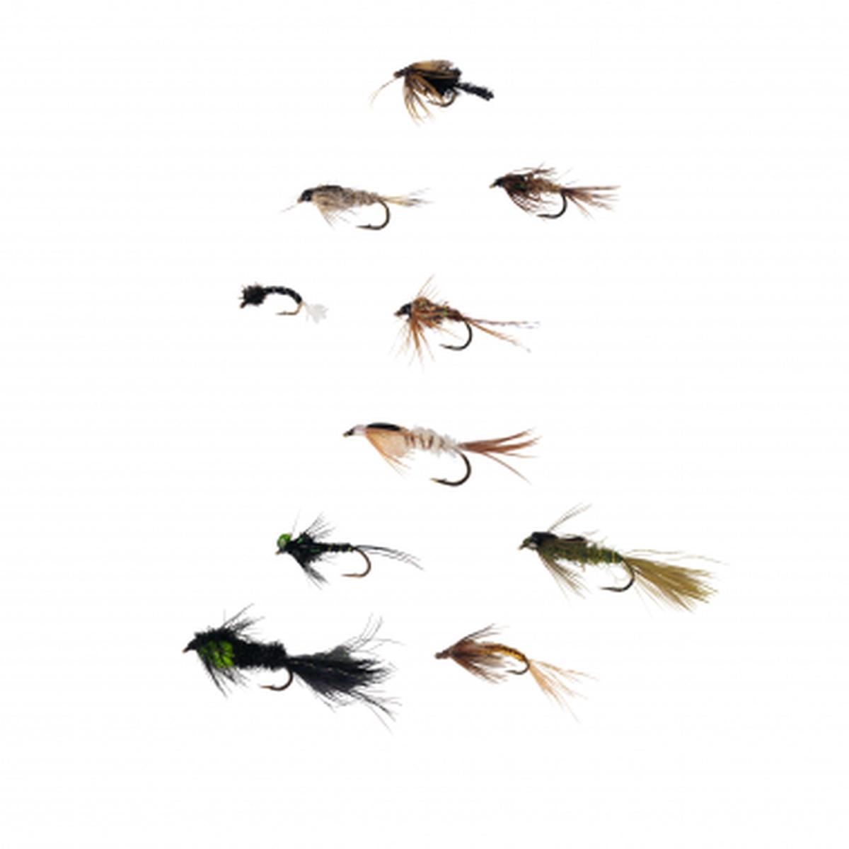 Nymphs Assortment