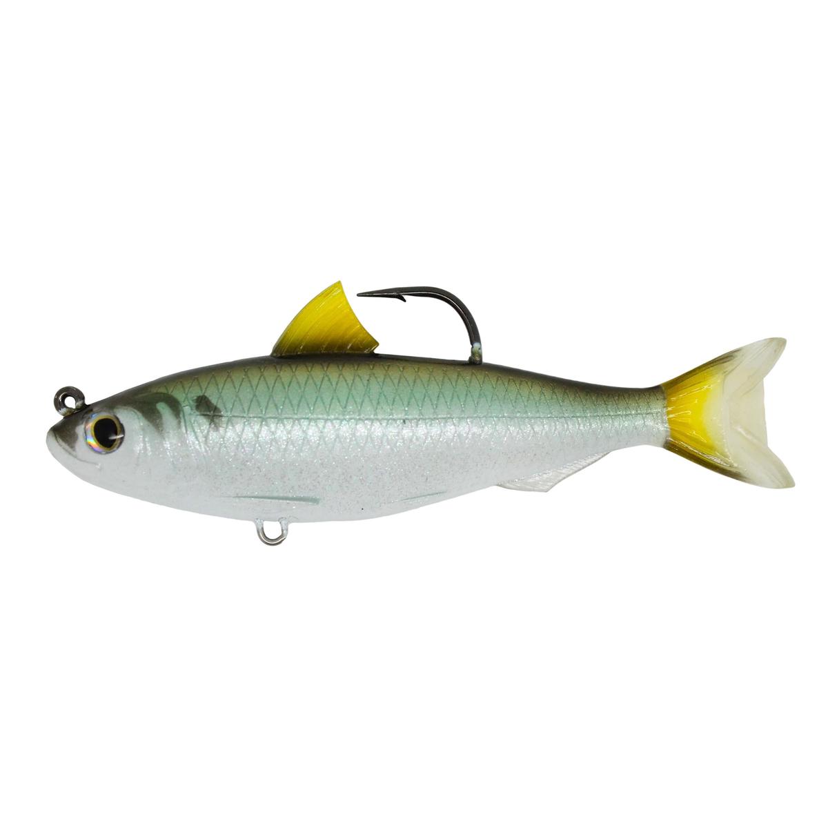 Herring,4