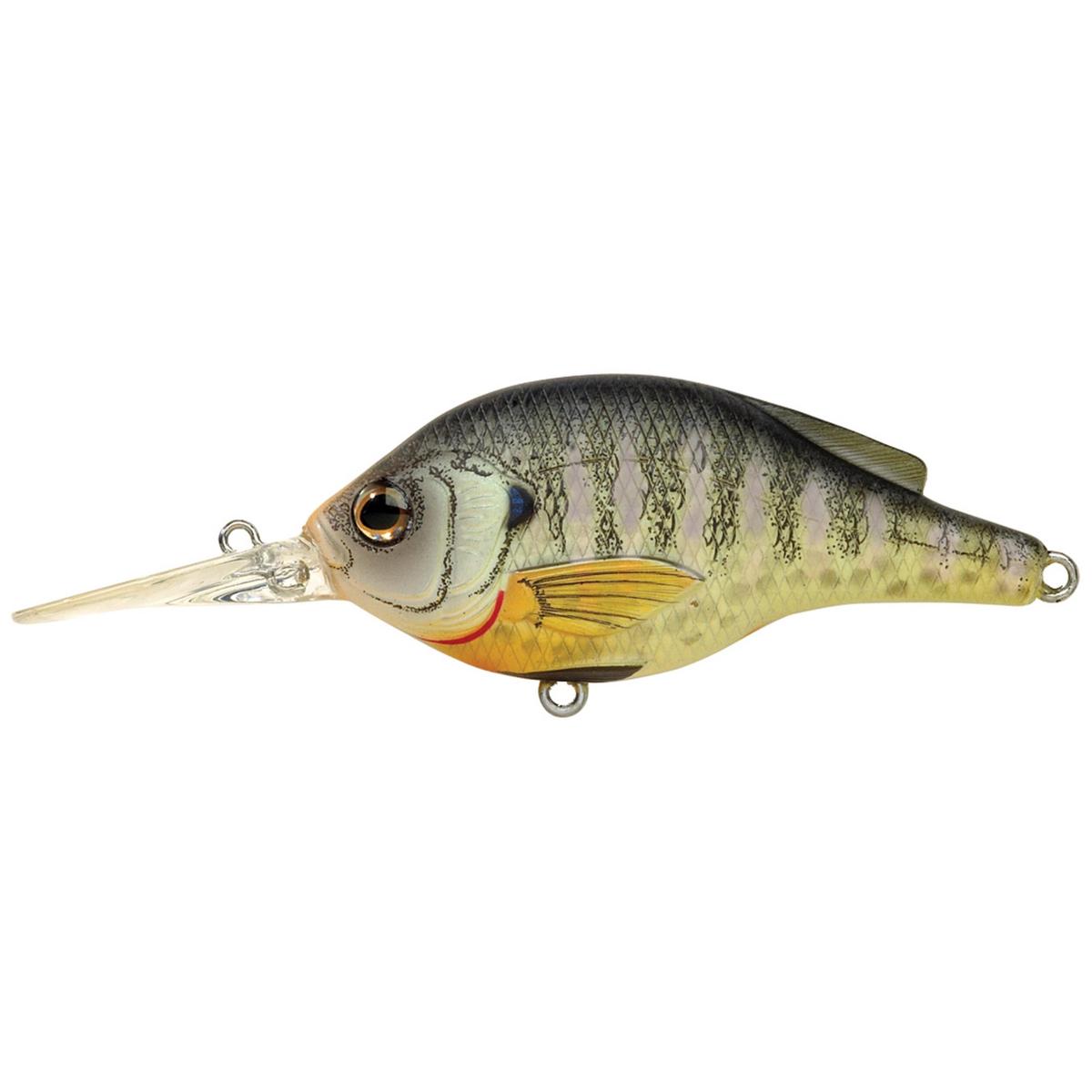 Bluegill Fs