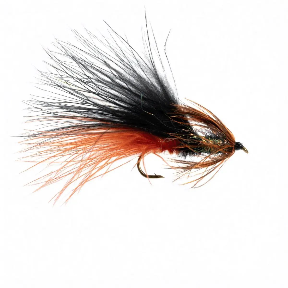 Dennys Stillwater Bug