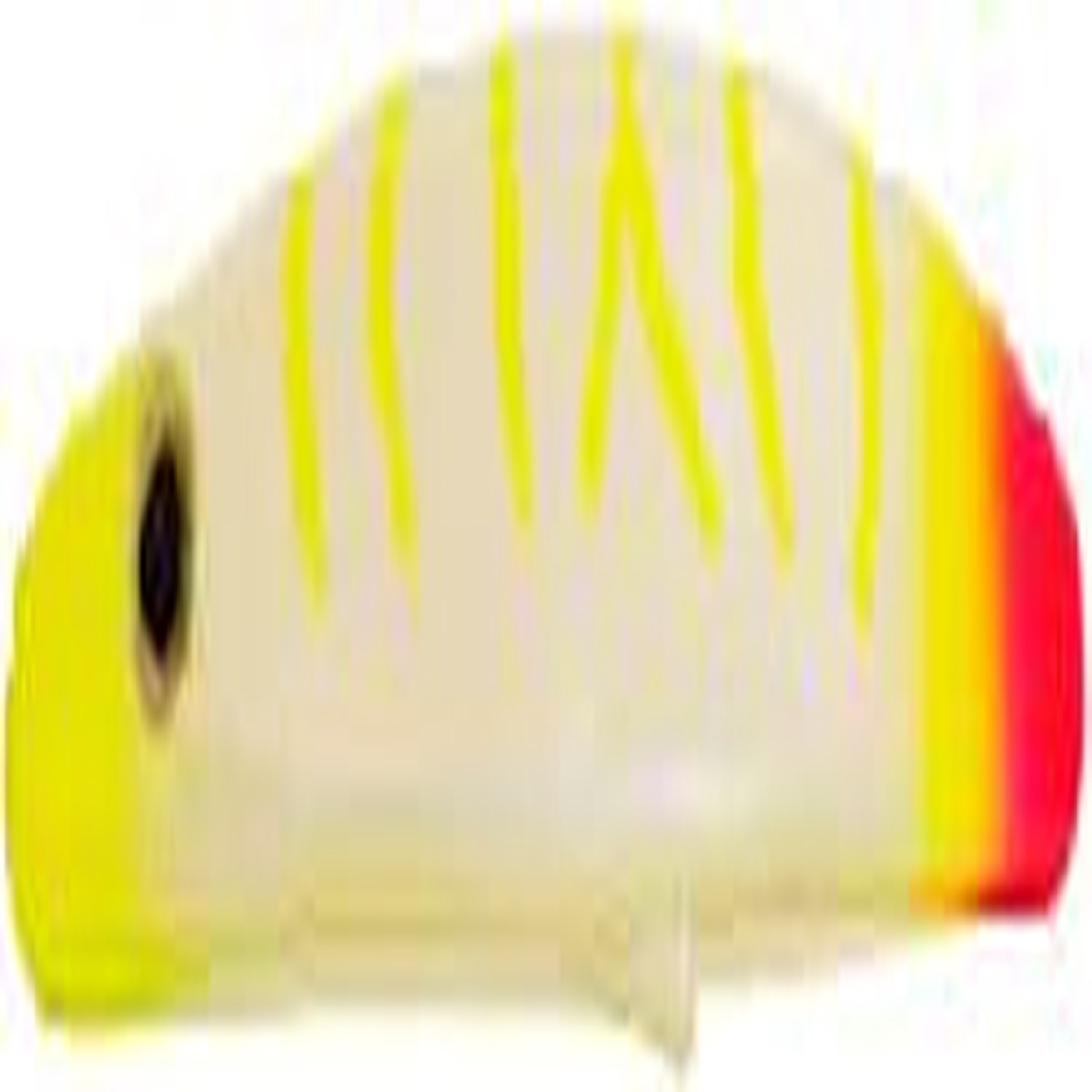 Simon Spin Dawg 3.0 Candy Corn
