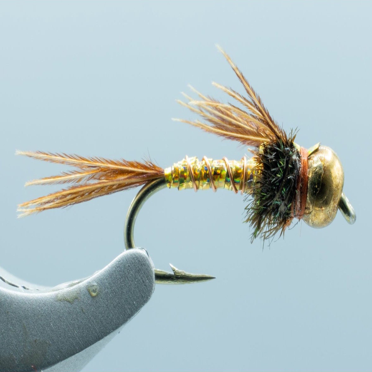 Lightning Bug Gold
